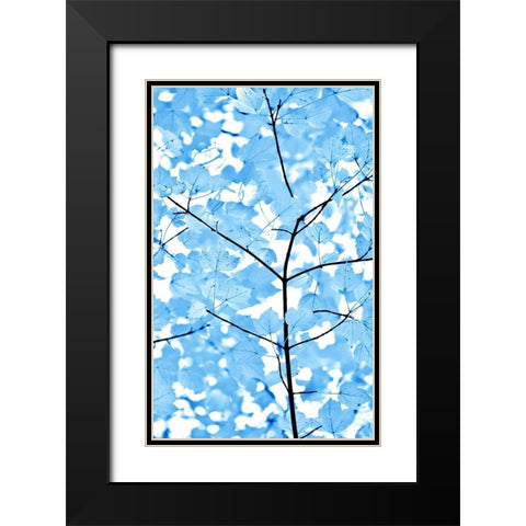 Blue Leaves 3 Black Modern Wood Framed Art Print with Double Matting by Schell, Jennie Marie