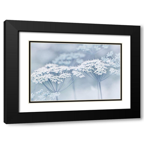 Blue Wildflowers Black Modern Wood Framed Art Print with Double Matting by Schell, Jennie Marie