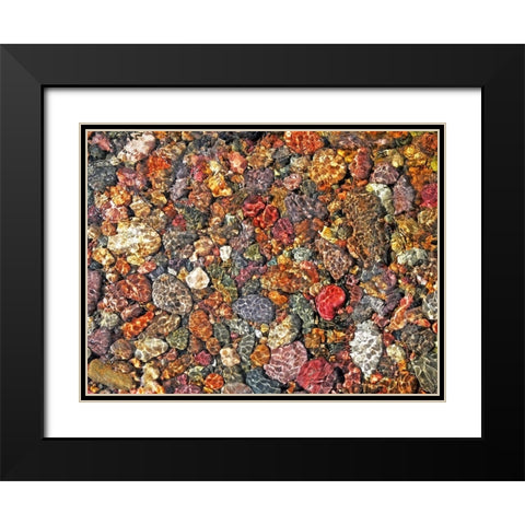 River Rocks Black Modern Wood Framed Art Print with Double Matting by Schell, Jennie Marie