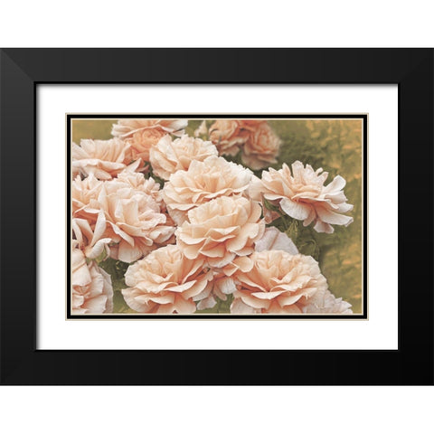 Rose Orange 3 Black Modern Wood Framed Art Print with Double Matting by Schell, Jennie Marie