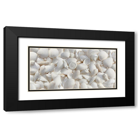 Seashells 2 Black Modern Wood Framed Art Print with Double Matting by Schell, Jennie Marie