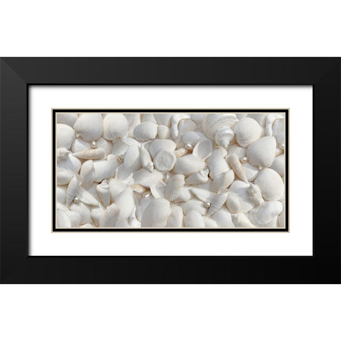Seashells 2 Black Modern Wood Framed Art Print with Double Matting by Schell, Jennie Marie