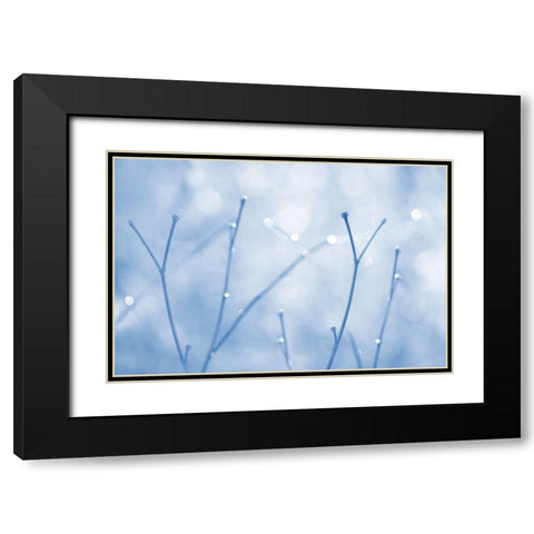 Blue Twigs Abstract Black Modern Wood Framed Art Print with Double Matting by Schell, Jennie Marie
