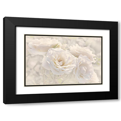 Rose White Ivory 9 Black Modern Wood Framed Art Print with Double Matting by Schell, Jennie Marie