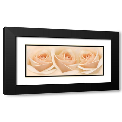 Rose Orange 6 Black Modern Wood Framed Art Print with Double Matting by Schell, Jennie Marie