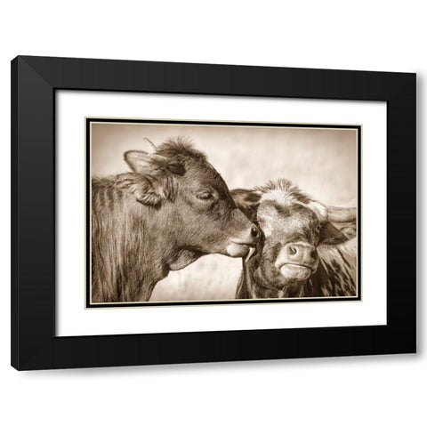 Calf Kiss Sepia Black Modern Wood Framed Art Print with Double Matting by Schell, Jennie Marie