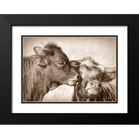 Calf Kiss Sepia Black Modern Wood Framed Art Print with Double Matting by Schell, Jennie Marie