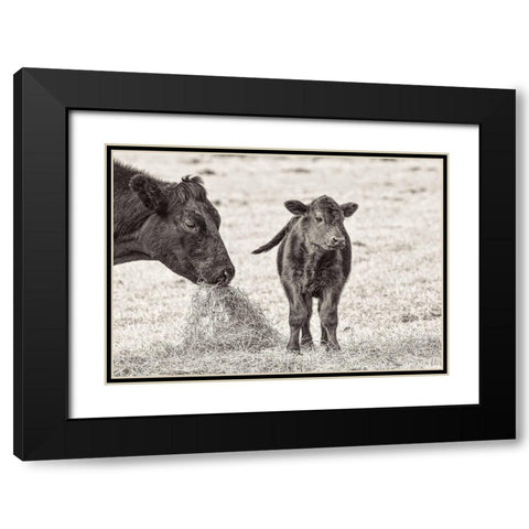 Cow and Calf Sepia Black Modern Wood Framed Art Print with Double Matting by Schell, Jennie Marie