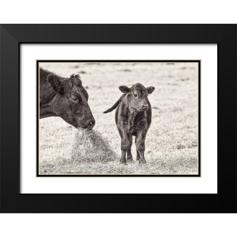 Cow and Calf Sepia Black Modern Wood Framed Art Print with Double Matting by Schell, Jennie Marie