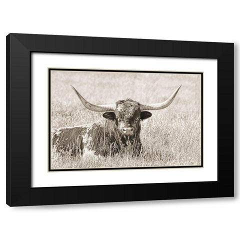Longhorn Bull Sepia Black Modern Wood Framed Art Print with Double Matting by Schell, Jennie Marie