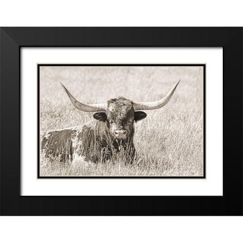 Longhorn Bull Sepia Black Modern Wood Framed Art Print with Double Matting by Schell, Jennie Marie
