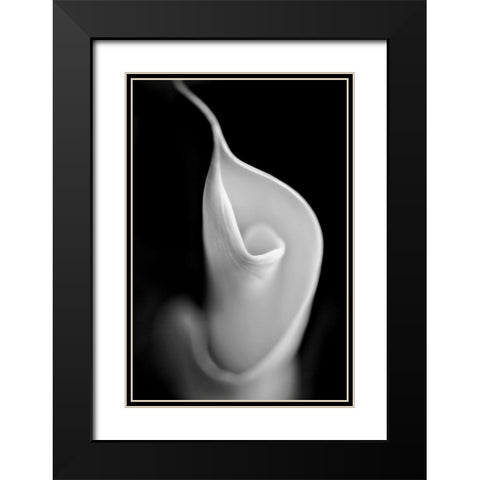 Calla Lily Flower Macro Black and White Black Modern Wood Framed Art Print with Double Matting by Schell, Jennie Marie