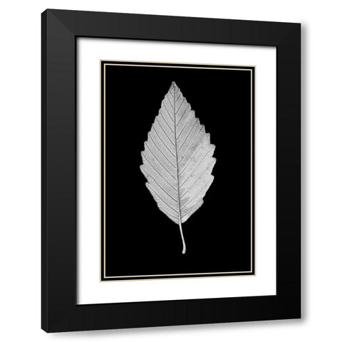 Leaf Black and White 2 Black Modern Wood Framed Art Print with Double Matting by Schell, Jennie Marie