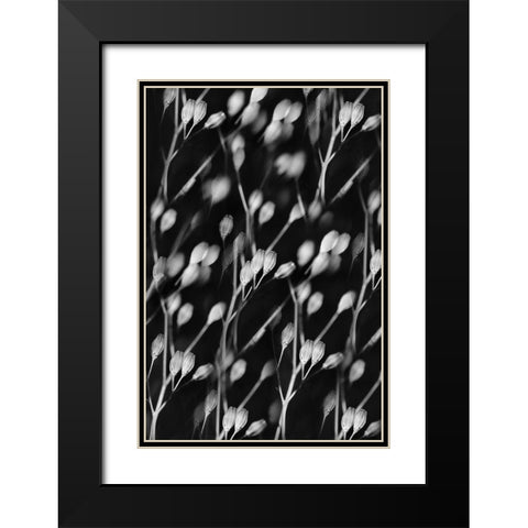 Seed Pods Abstract Black and White Black Modern Wood Framed Art Print with Double Matting by Schell, Jennie Marie