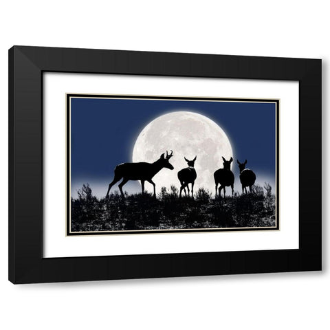Antelope Pronghorn Silhouettes and Moon Black Modern Wood Framed Art Print with Double Matting by Schell, Jennie Marie