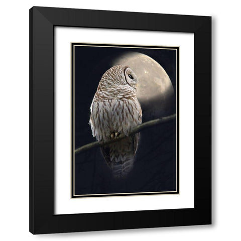 Owl and Moon Black Modern Wood Framed Art Print with Double Matting by Schell, Jennie Marie
