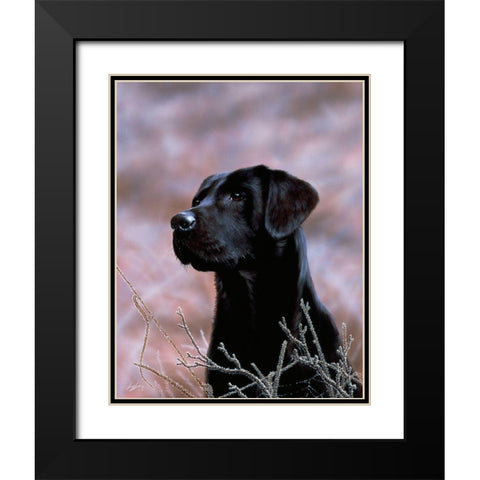 Js75-B Black Modern Wood Framed Art Print with Double Matting by Silver, John