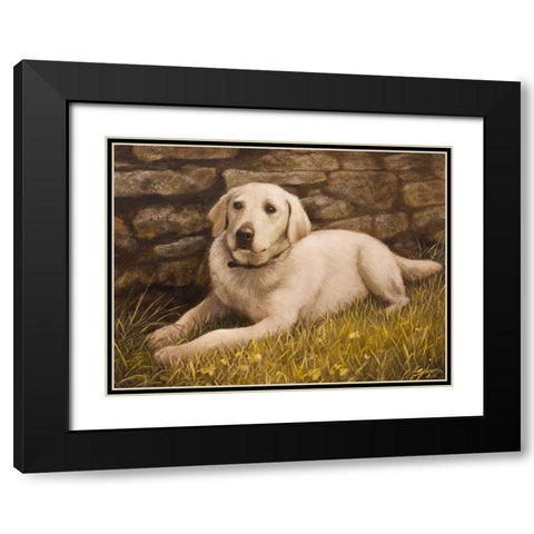320 Black Modern Wood Framed Art Print with Double Matting by Silver, John