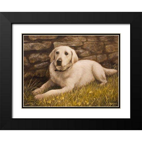 320 Black Modern Wood Framed Art Print with Double Matting by Silver, John