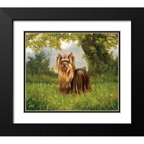 Js117-A Black Modern Wood Framed Art Print with Double Matting by Silver, John