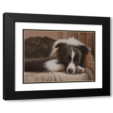 396 Border Collie Black Modern Wood Framed Art Print with Double Matting by Silver, John