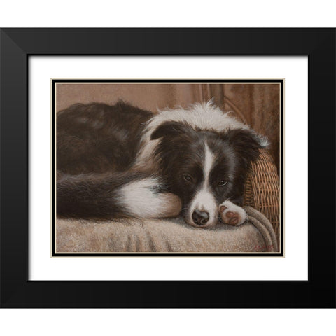 396 Border Collie Black Modern Wood Framed Art Print with Double Matting by Silver, John