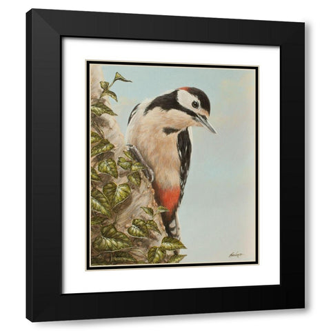 WoodPecker and Ivy Black Modern Wood Framed Art Print with Double Matting by Silver, John