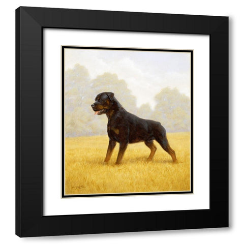 Jsm35-B Black Modern Wood Framed Art Print with Double Matting by Silver, John