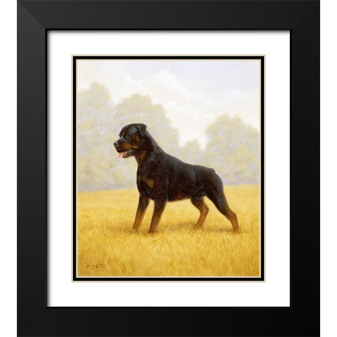 Jsm35-B Black Modern Wood Framed Art Print with Double Matting by Silver, John