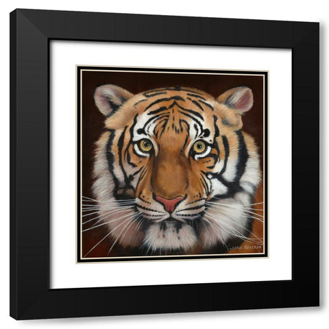 Tiger Black Modern Wood Framed Art Print with Double Matting by Zaccheo, John
