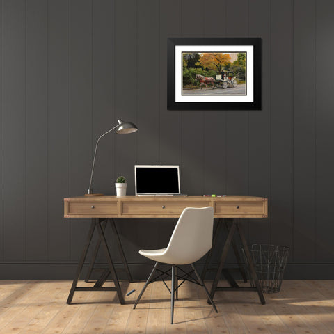 Carriage At Central Park Black Modern Wood Framed Art Print with Double Matting by Zaccheo, John