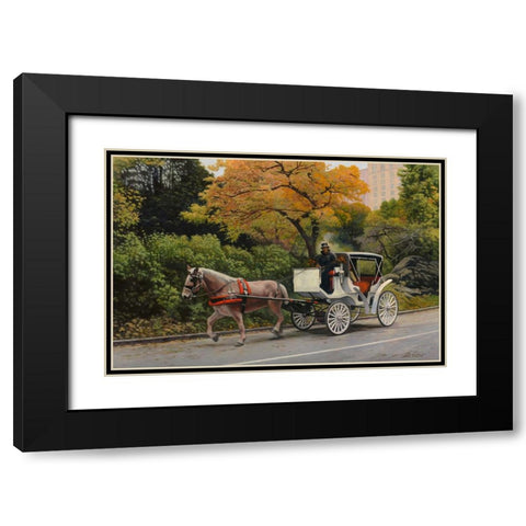Carriage At Central Park Black Modern Wood Framed Art Print with Double Matting by Zaccheo, John