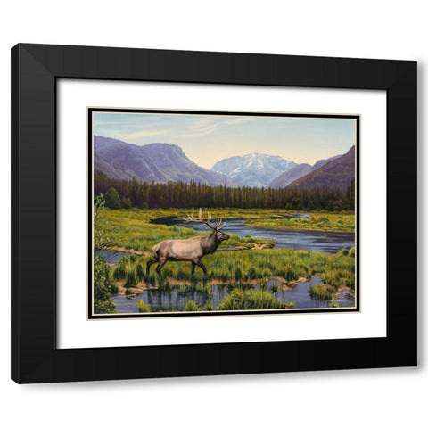 Meadows of Grand Lake, Colorado Black Modern Wood Framed Art Print with Double Matting by Zaccheo, John