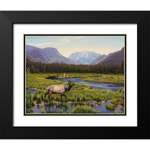 Meadows of Grand Lake, Colorado Black Modern Wood Framed Art Print with Double Matting by Zaccheo, John