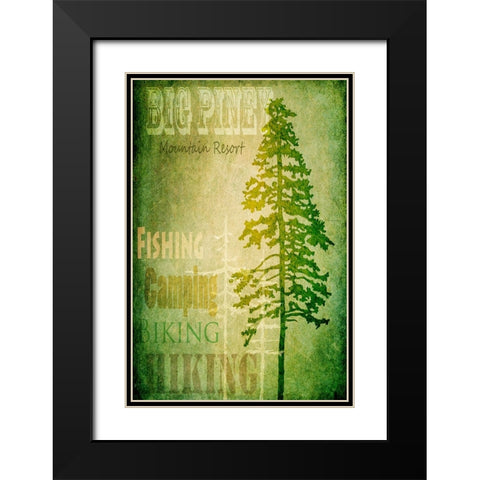 Big Piney Black Modern Wood Framed Art Print with Double Matting by LightBoxJournal