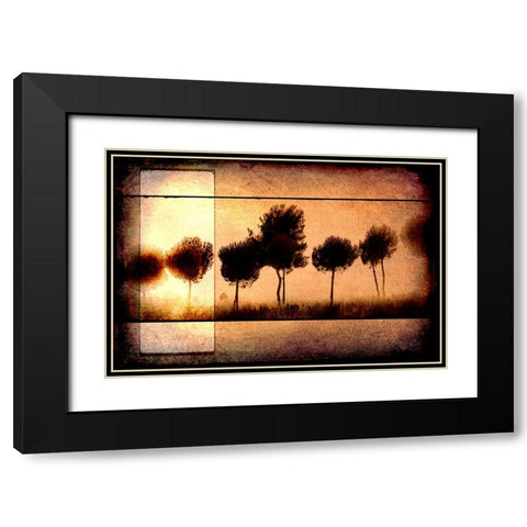 For the Love of Trees I Black Modern Wood Framed Art Print with Double Matting by LightBoxJournal