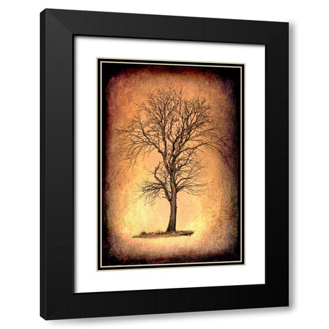 For the Love of Trees II Black Modern Wood Framed Art Print with Double Matting by LightBoxJournal