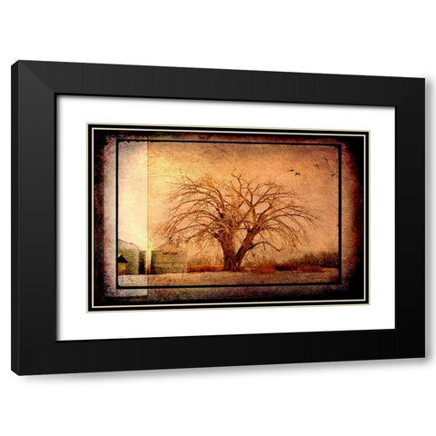 For the Love of Trees IV Black Modern Wood Framed Art Print with Double Matting by LightBoxJournal