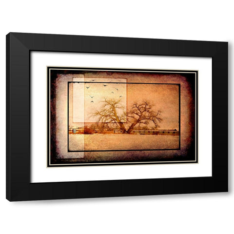 For the Love of Trees V Black Modern Wood Framed Art Print with Double Matting by LightBoxJournal