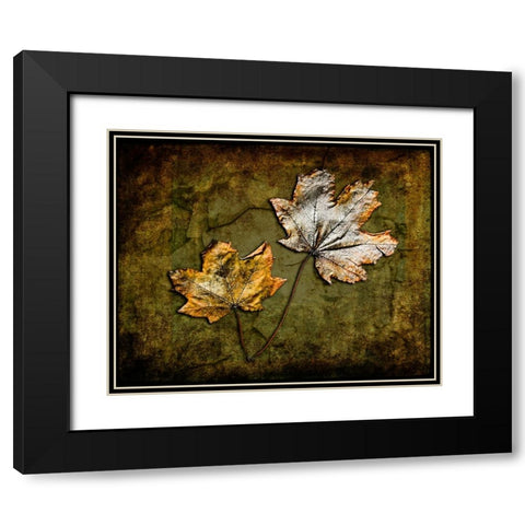 Metallic Leaf 2 Black Modern Wood Framed Art Print with Double Matting by LightBoxJournal