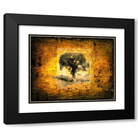 Shadow Trees Black Modern Wood Framed Art Print with Double Matting by LightBoxJournal