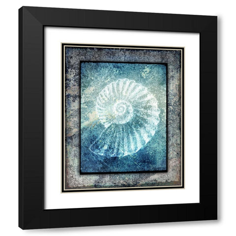 Hello Beach Shell I Black Modern Wood Framed Art Print with Double Matting by LightBoxJournal