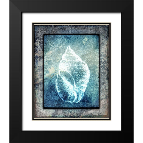 Hello Beach Shell II Black Modern Wood Framed Art Print with Double Matting by LightBoxJournal