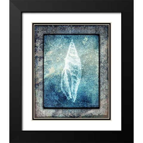 Hello Beach Shell III Black Modern Wood Framed Art Print with Double Matting by LightBoxJournal