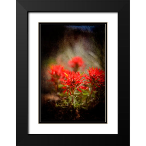 Desert Flower 1 Black Modern Wood Framed Art Print with Double Matting by LightBoxJournal