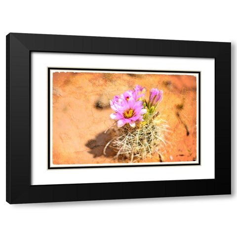 Desert Flower 4 Black Modern Wood Framed Art Print with Double Matting by LightBoxJournal