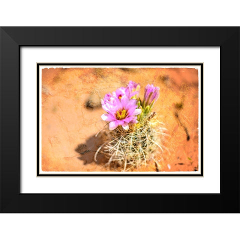 Desert Flower 4 Black Modern Wood Framed Art Print with Double Matting by LightBoxJournal