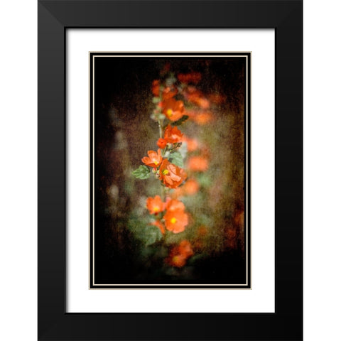 Desert Flower 5 Black Modern Wood Framed Art Print with Double Matting by LightBoxJournal