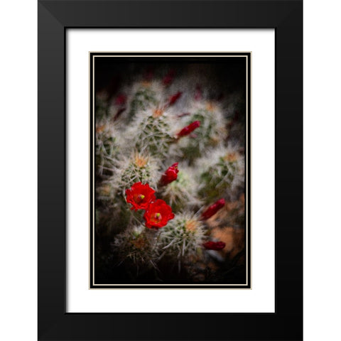 Desert Flower 6 Black Modern Wood Framed Art Print with Double Matting by LightBoxJournal