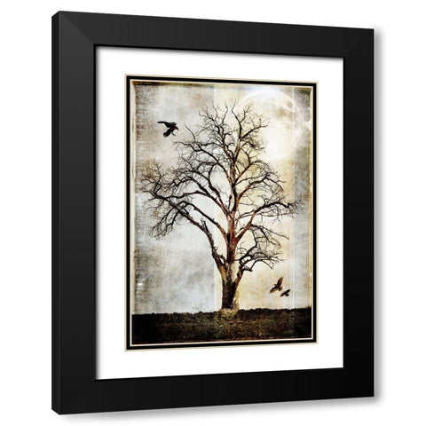 Cottonwood Tree Part 02 Black Modern Wood Framed Art Print with Double Matting by LightBoxJournal